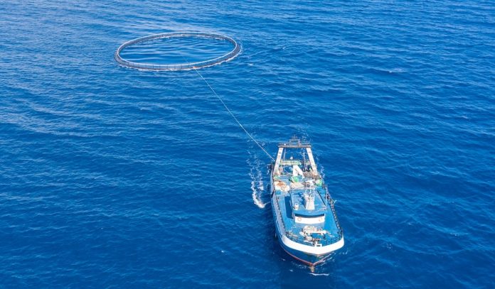 Colombian fishing boat