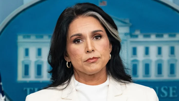 gabbard2